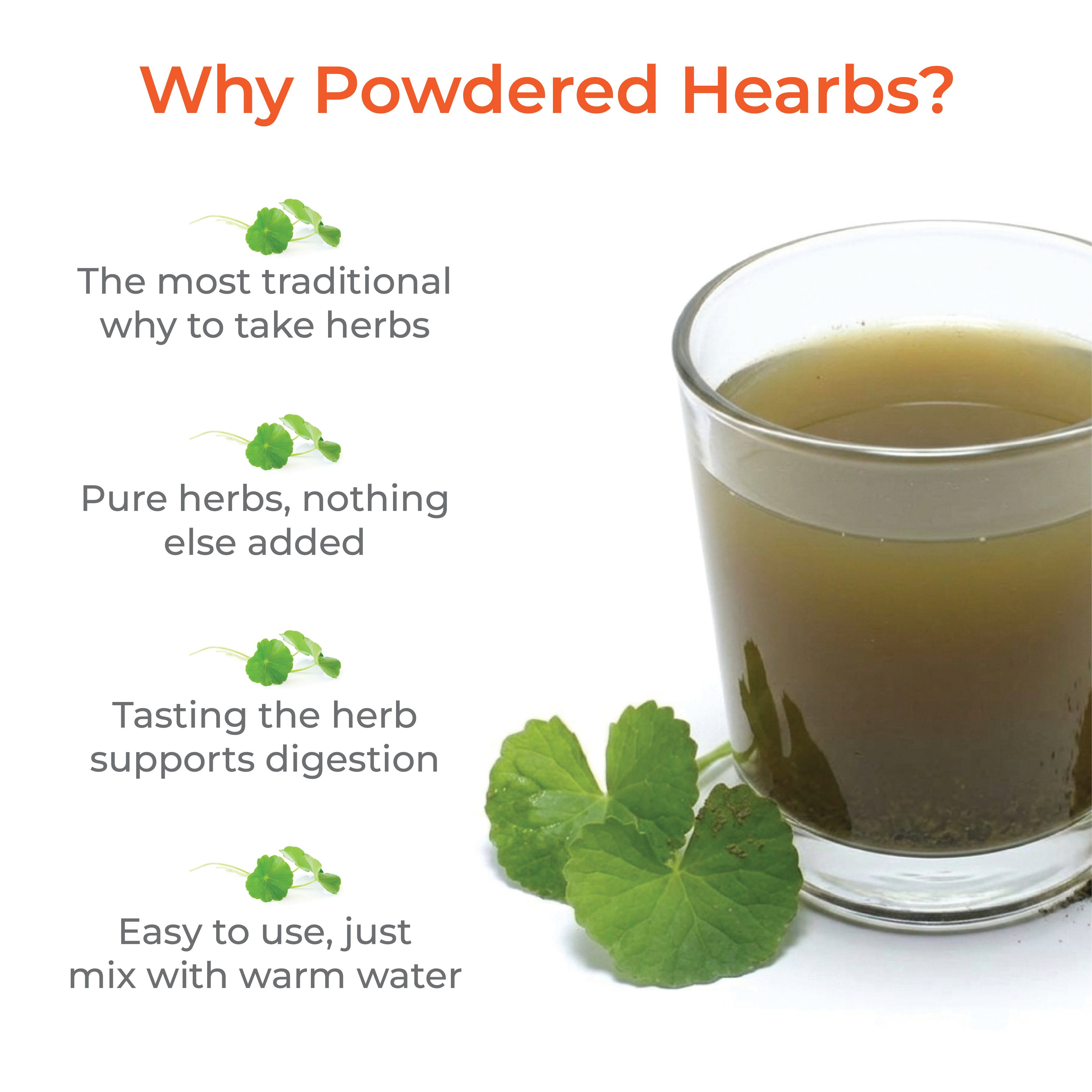 Gotu Kola Herbal Powder