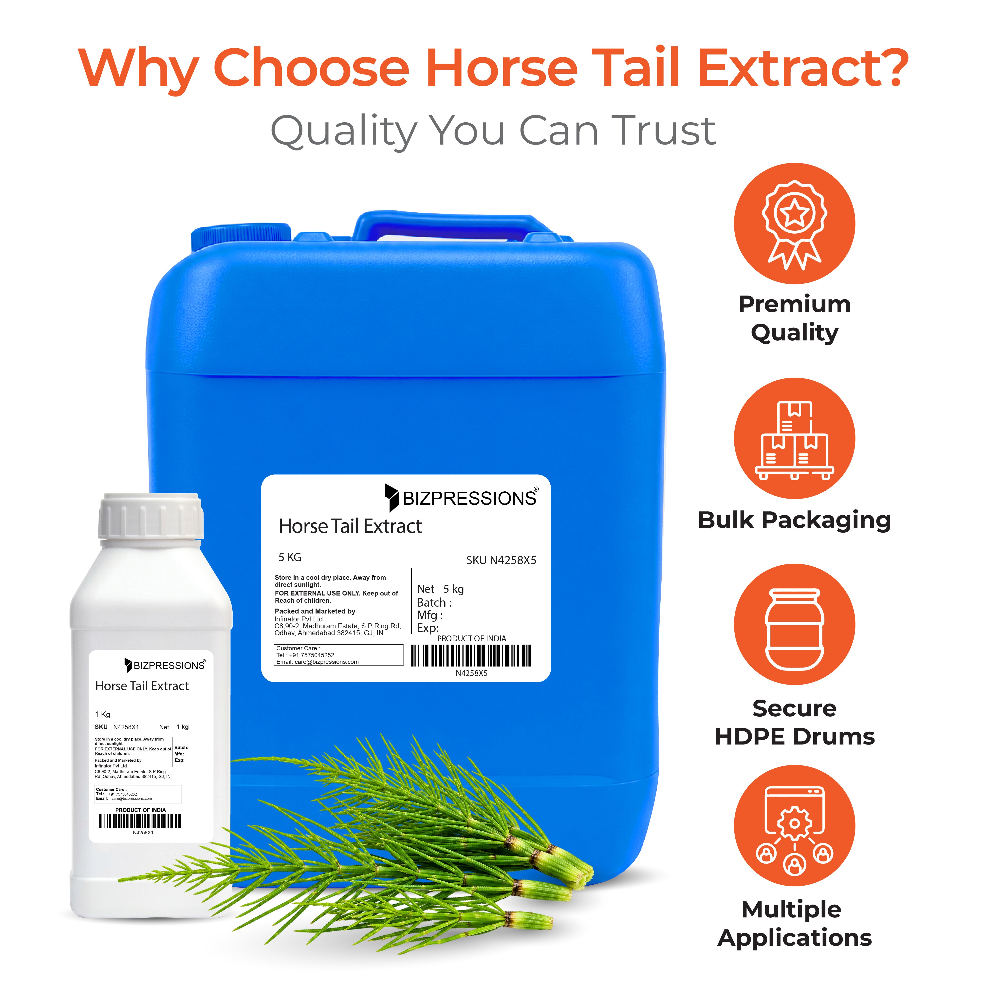 Horse Tail Extract