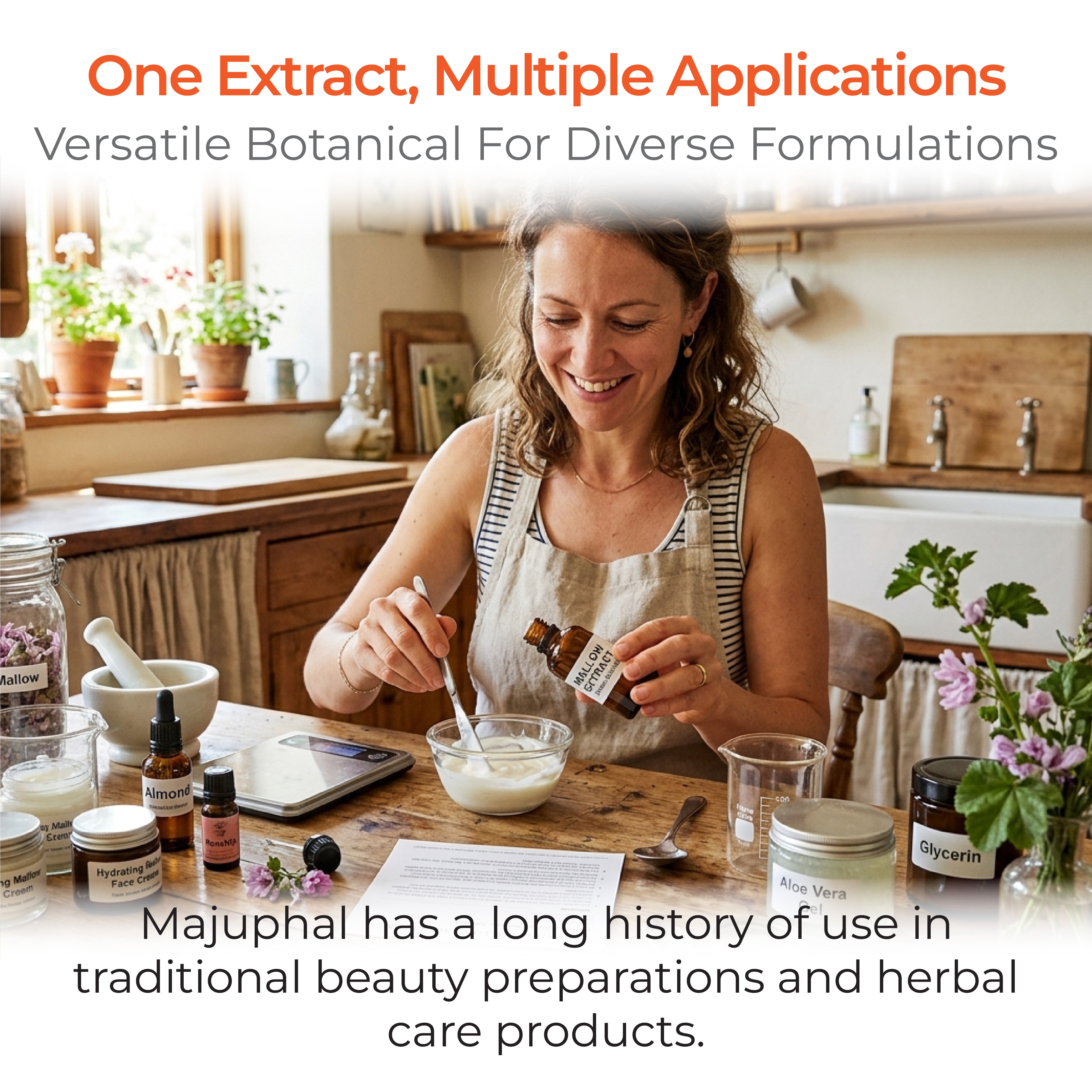 Majuphal Extract