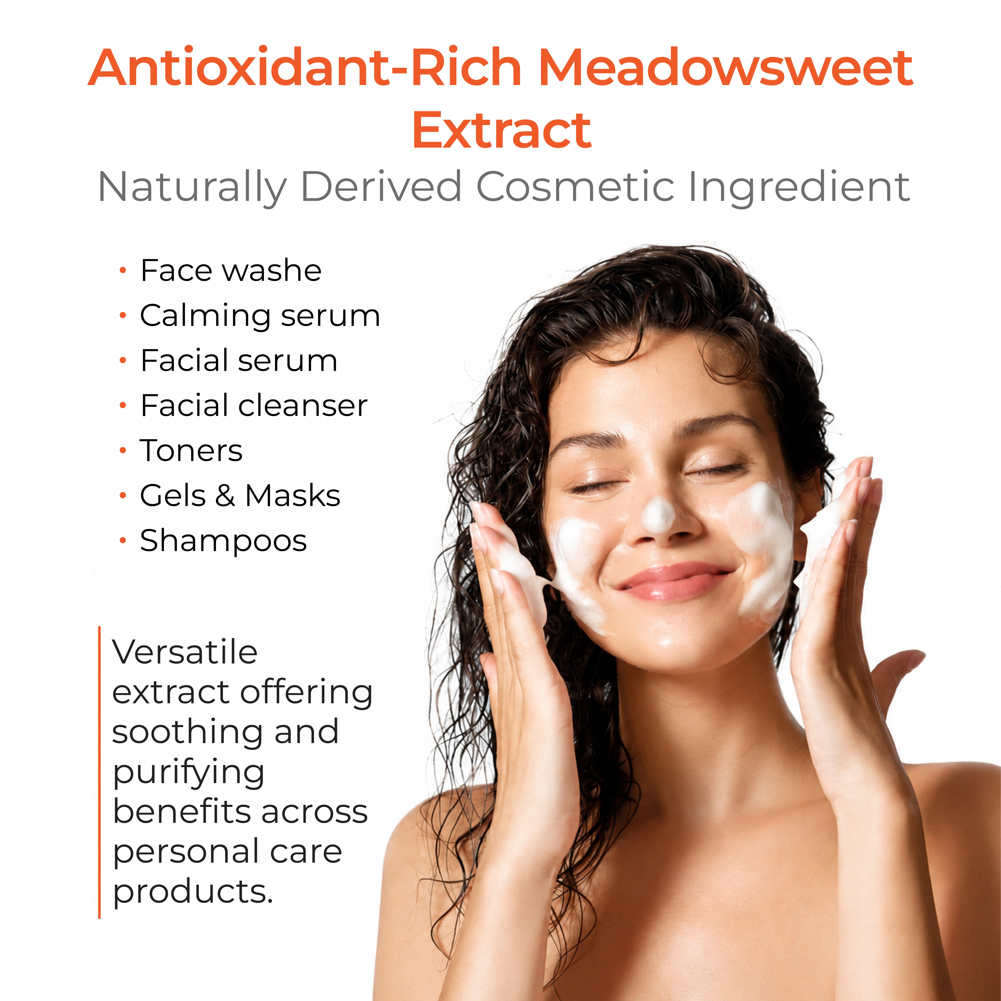 Meadowsweet Extract