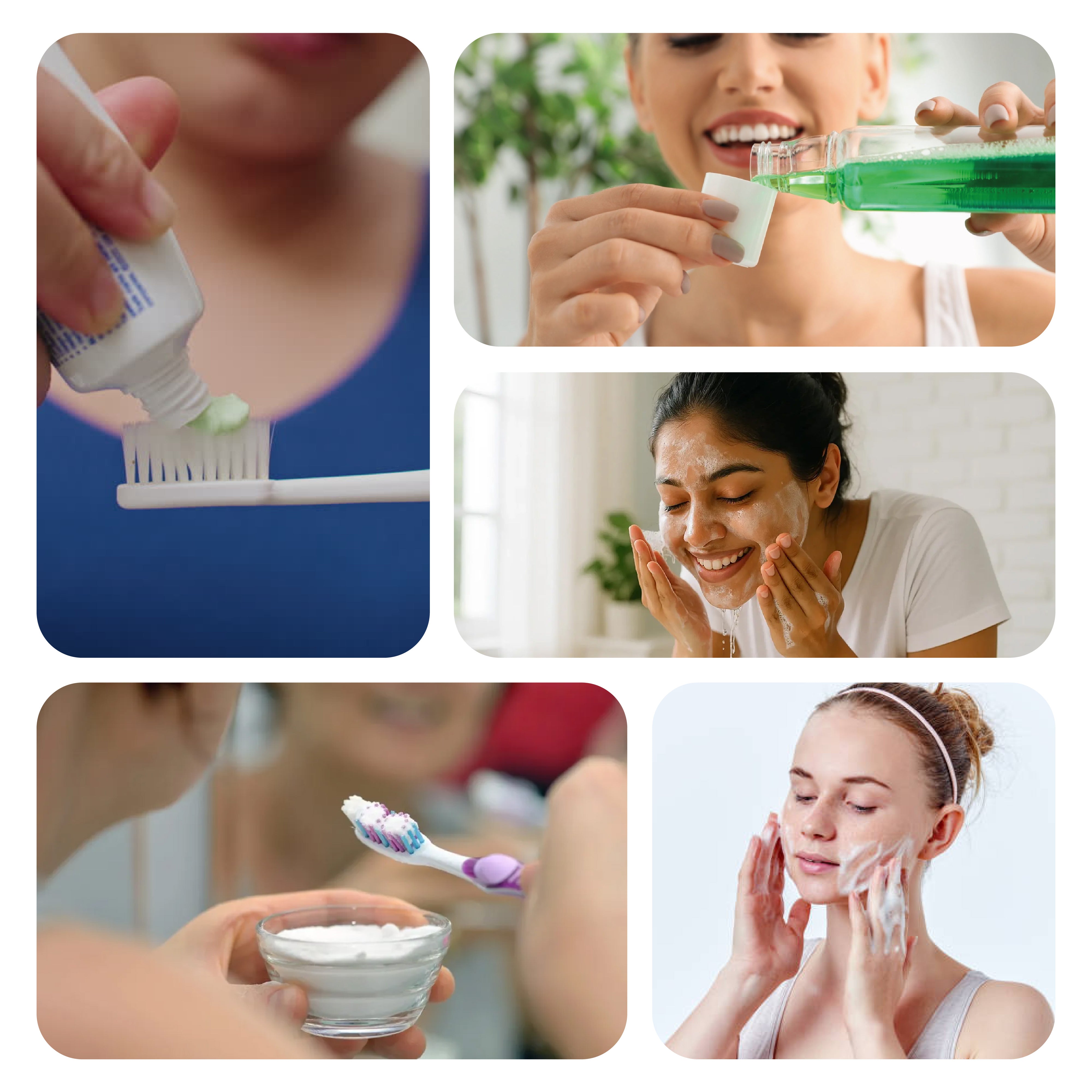 Meswak Extract
