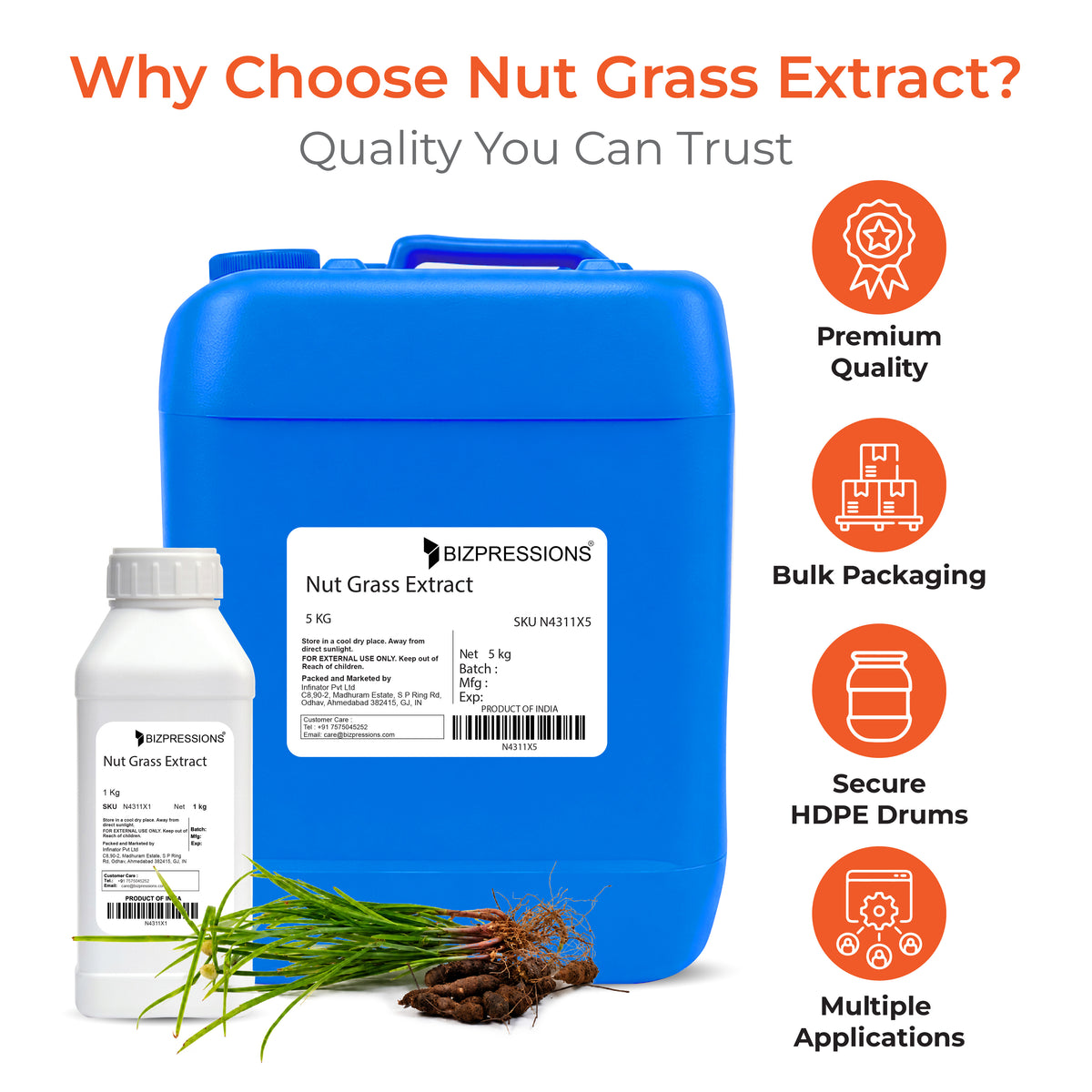 Nut Grass Extract