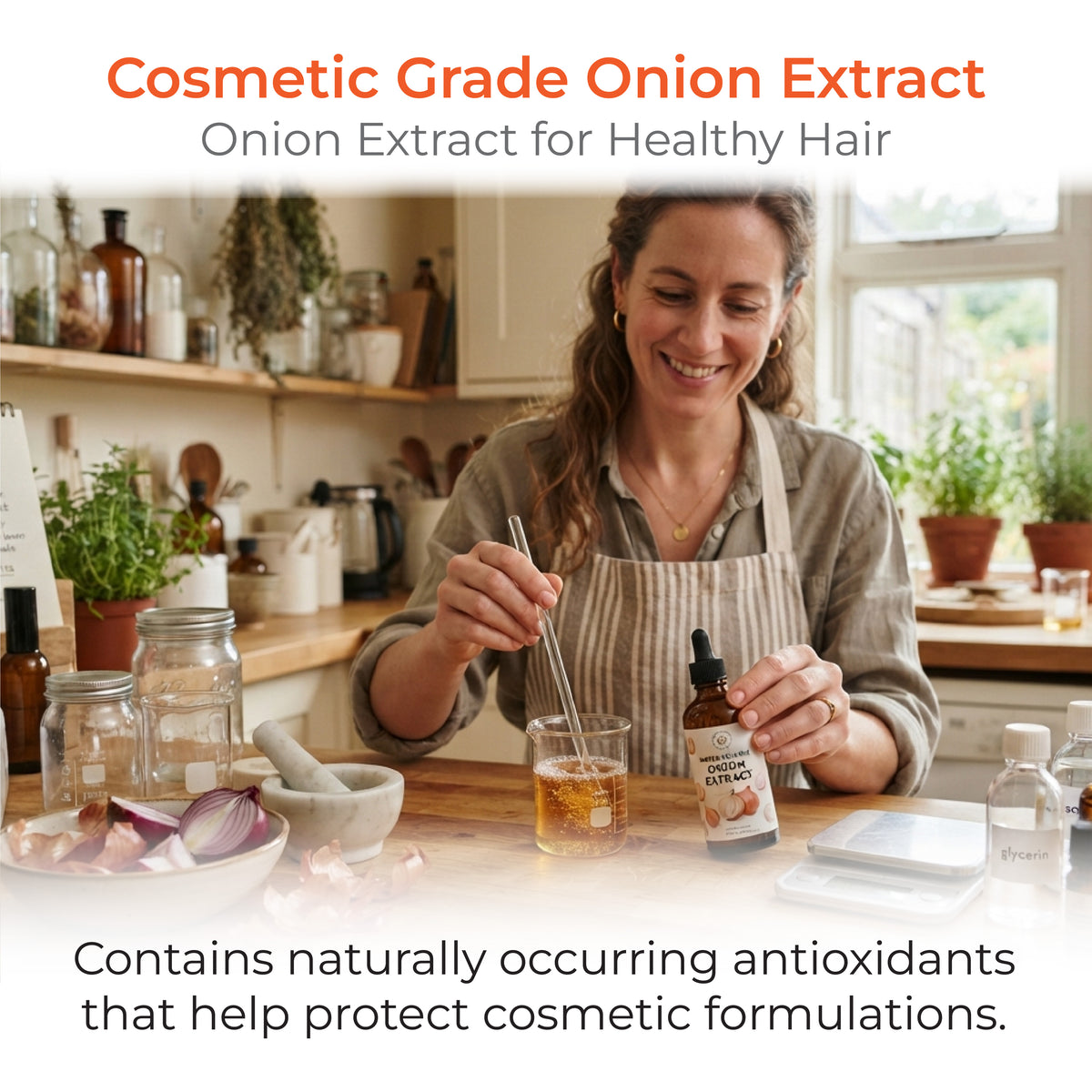 Onion Extract