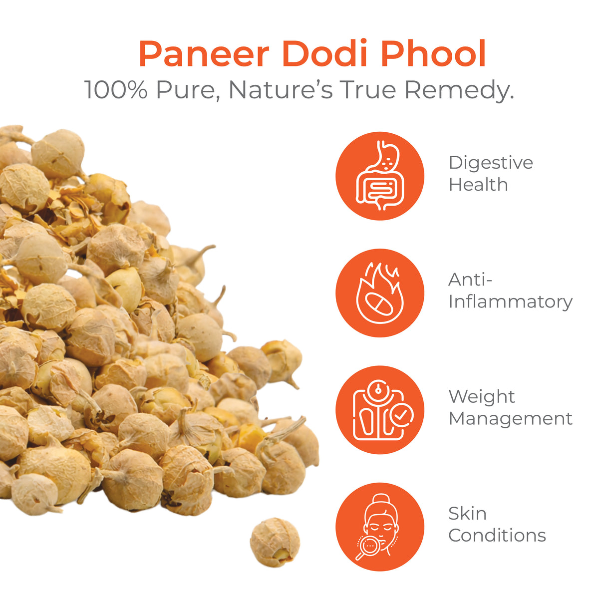 Paneer Phool / Paneer Dodi / Paneer Doda