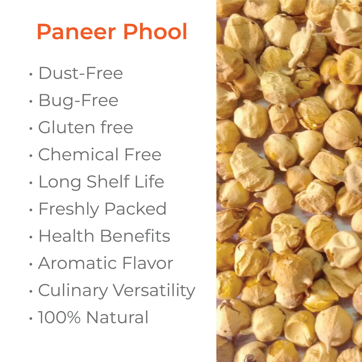 Paneer Phool / Paneer Dodi / Paneer Doda