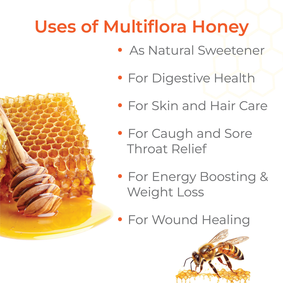 Raw Honey | Wild / Forest | Multiflora, Unprocessed, Unpasteurized