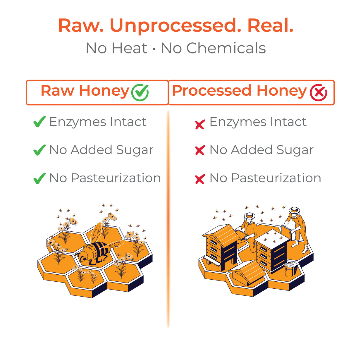 Raw Honey | Wild / Forest | Multiflora, Unprocessed, Unpasteurized