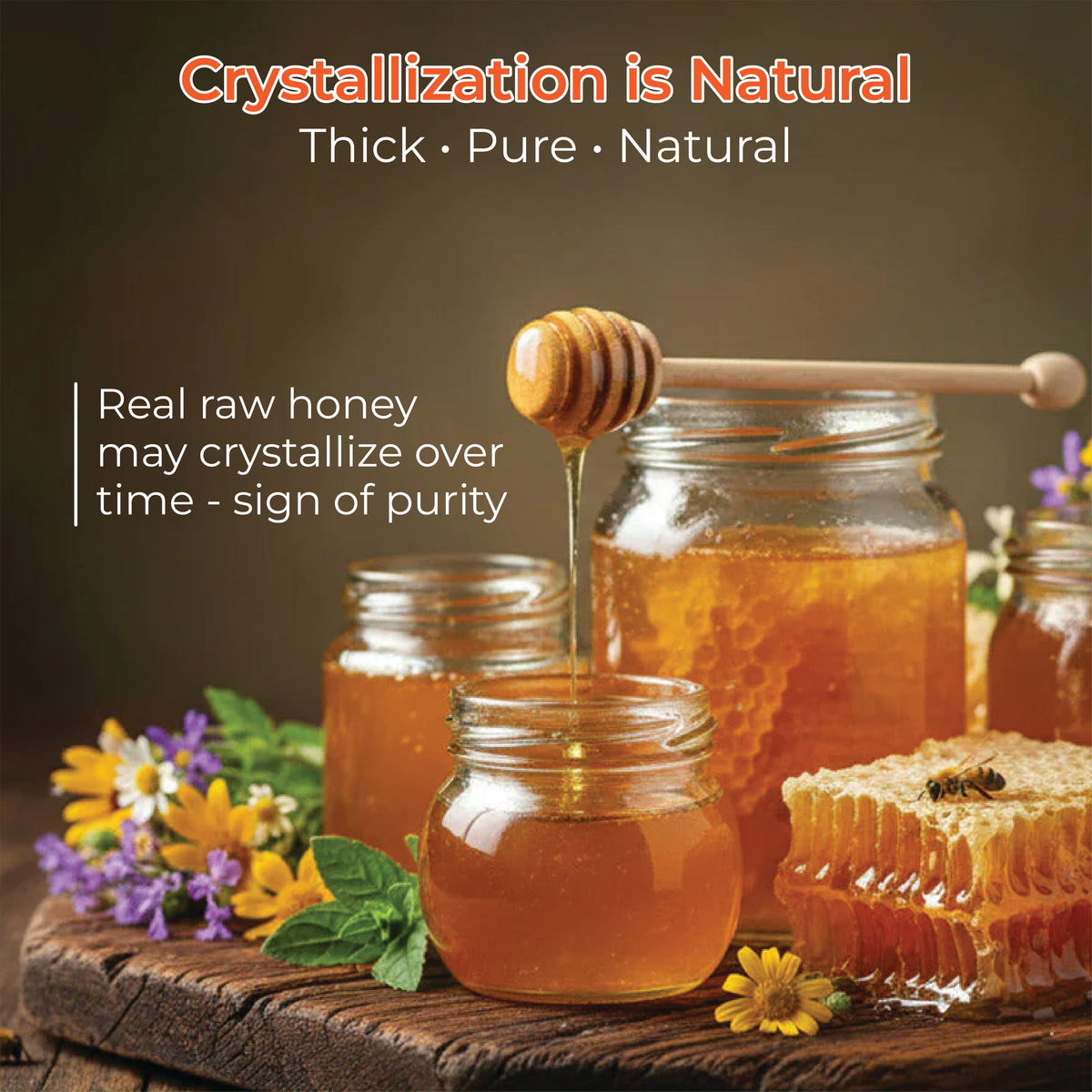 Raw Honey | Wild / Forest | Multiflora, Unprocessed, Unpasteurized