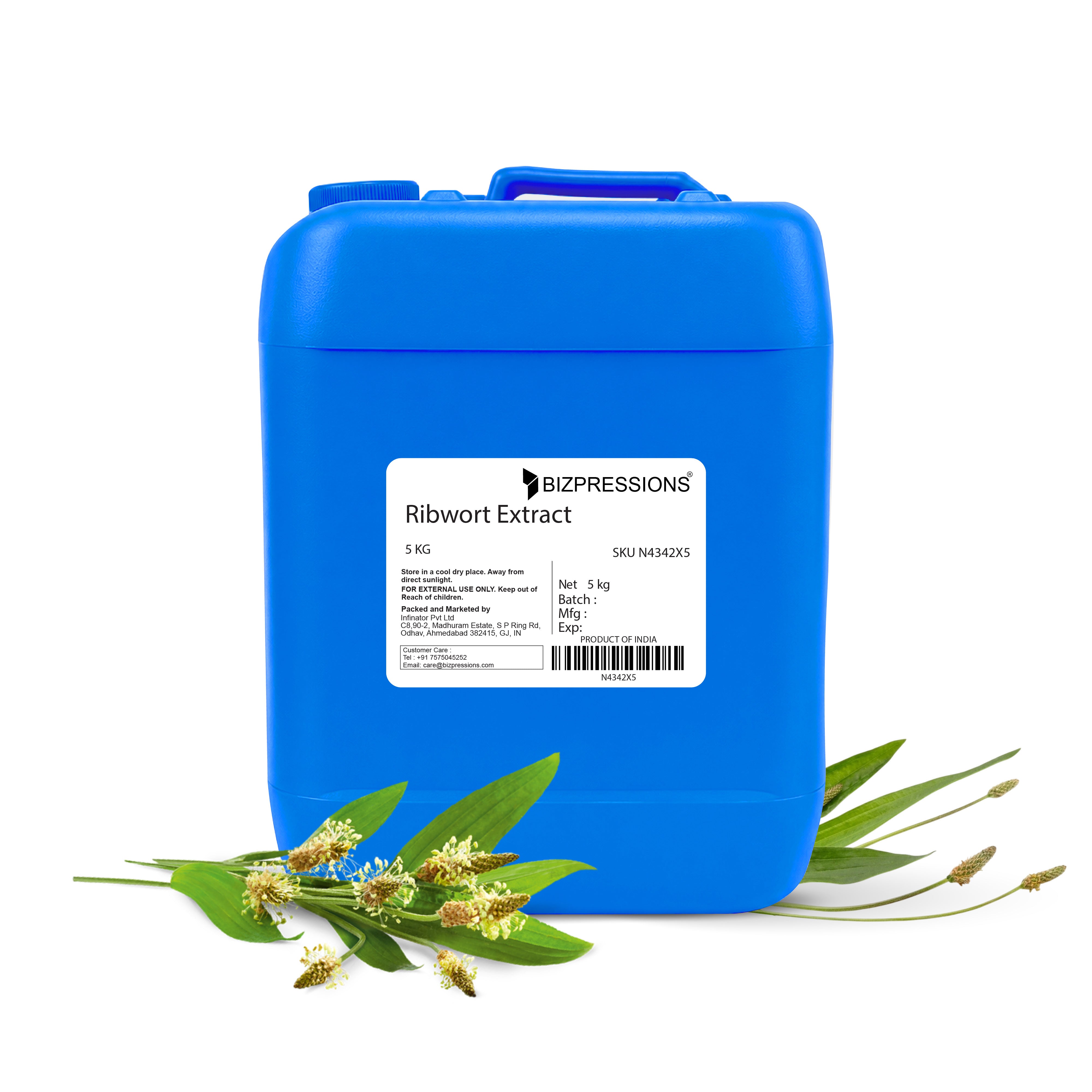 Ribwort Extract