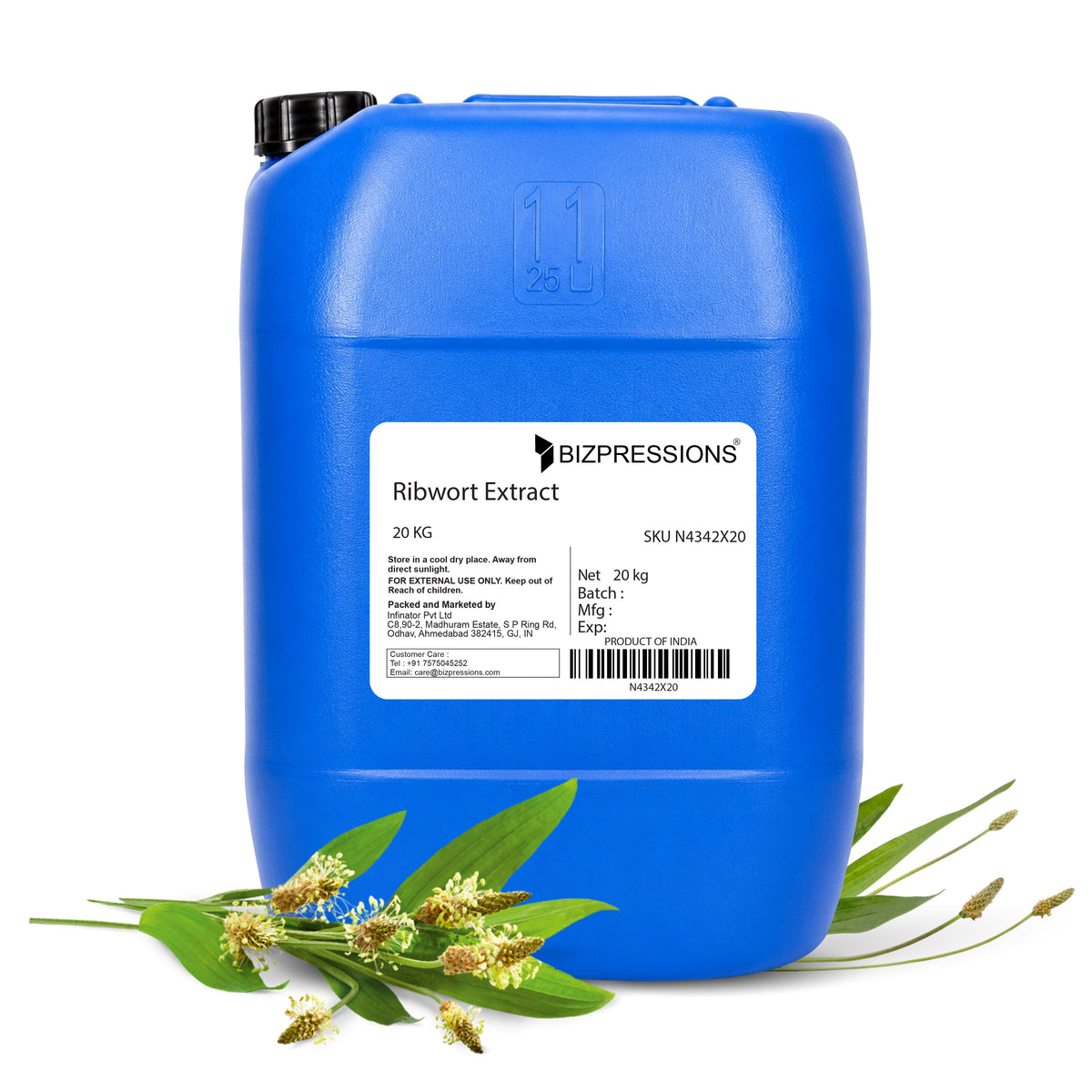 Ribwort Extract