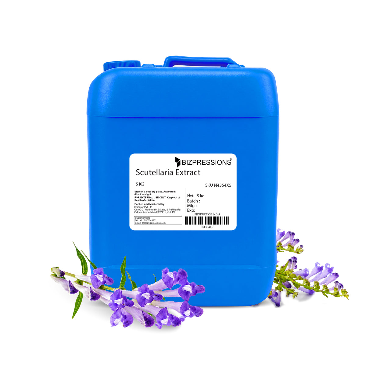 Scutellaria Extract