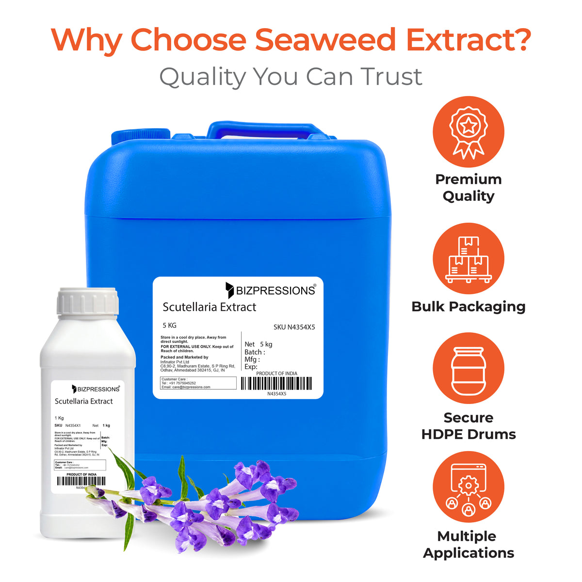 Scutellaria Extract