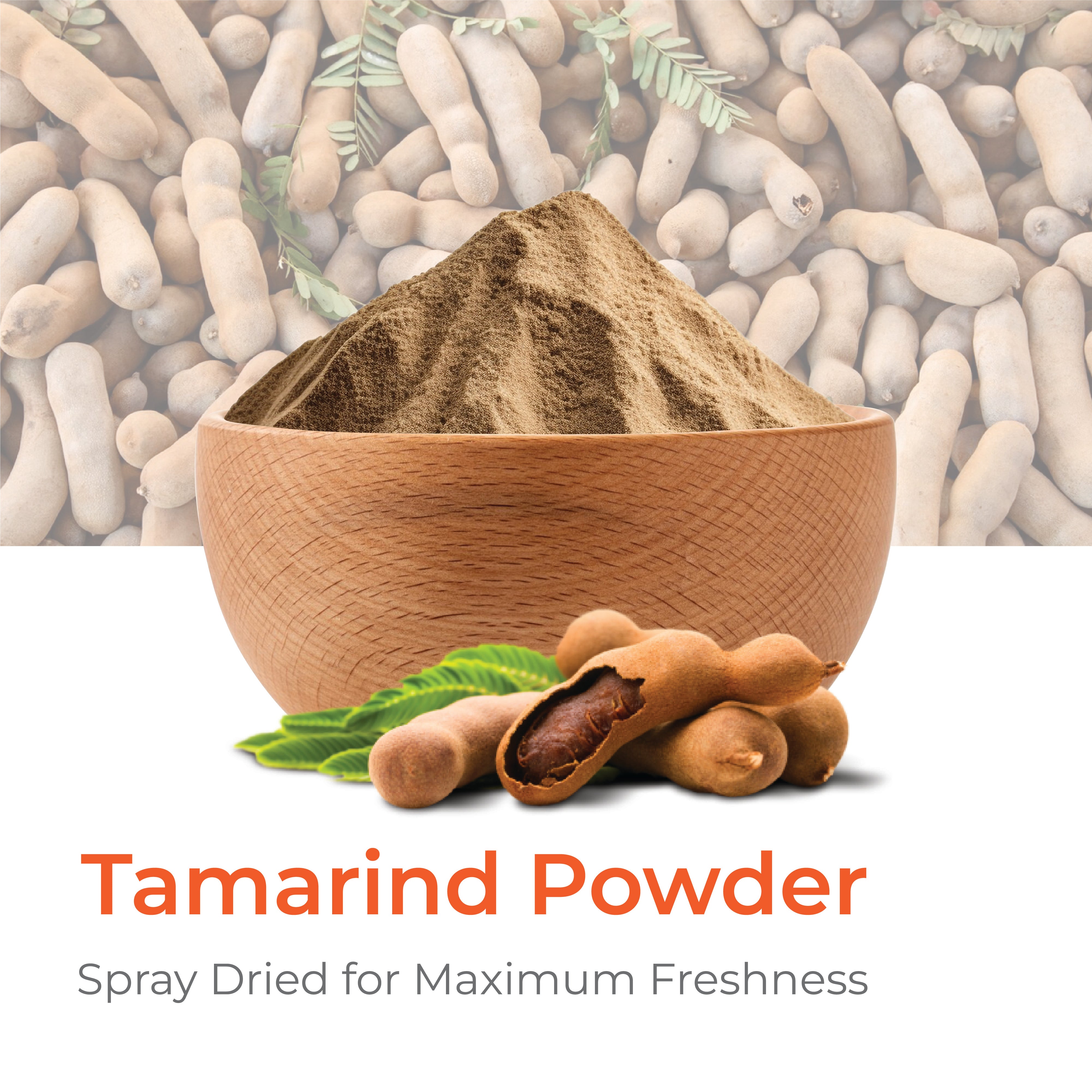 Tamarind Powder (Spray Dried)