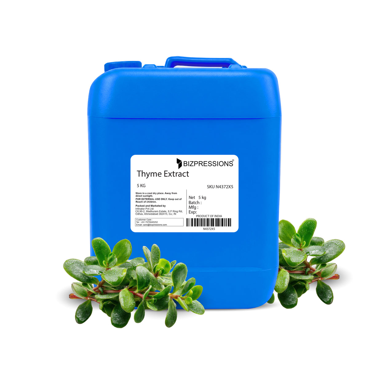 Thyme Extract