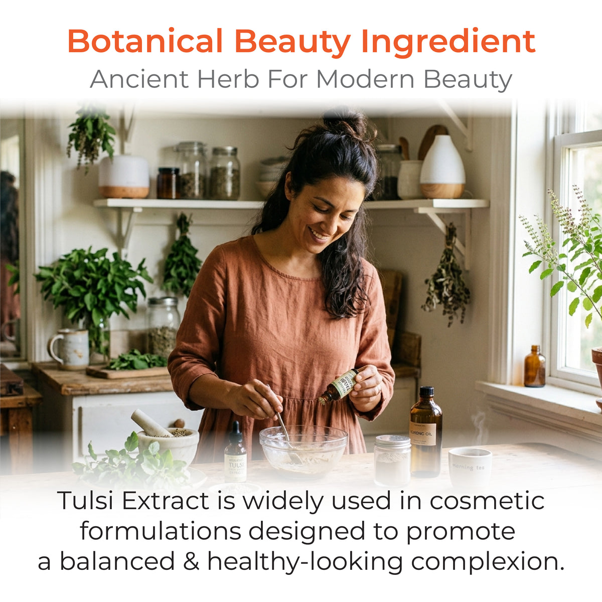 Tulsi Extract