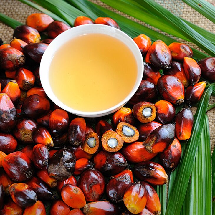 Palm / Palmolein Oil