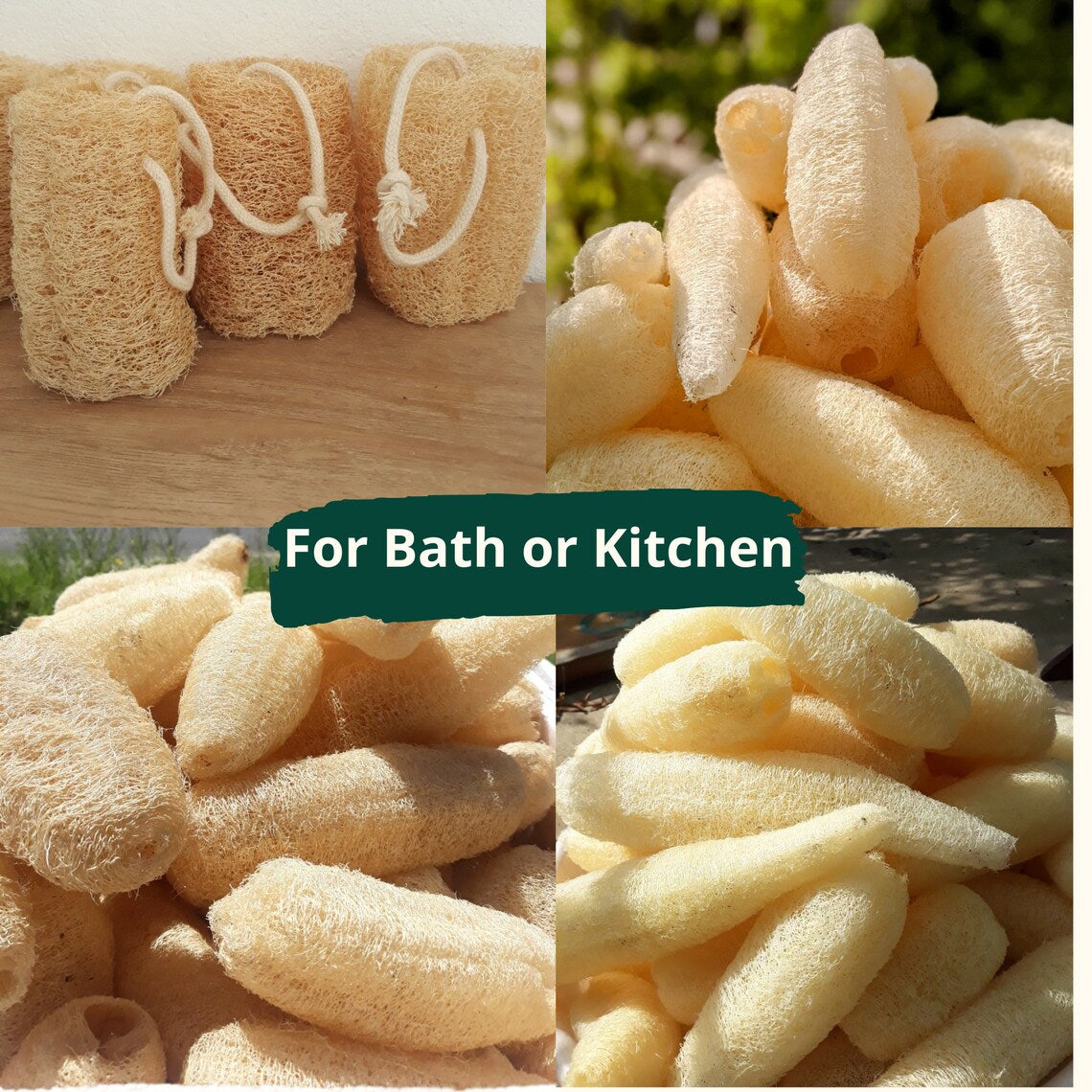 Premium Natural Loofah / Luffa / Lofa / Loofa Spa Exfoliating Bath Body Wash and kitchen